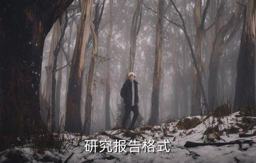 研究報告格式