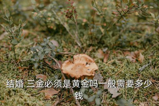 結(jié)婚 三金必須是黃金嗎一般需要多少錢