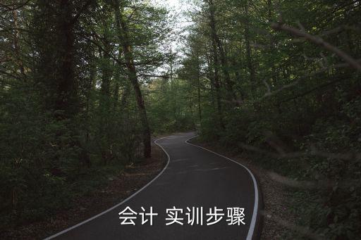  會(huì)計(jì) 實(shí)訓(xùn)步驟