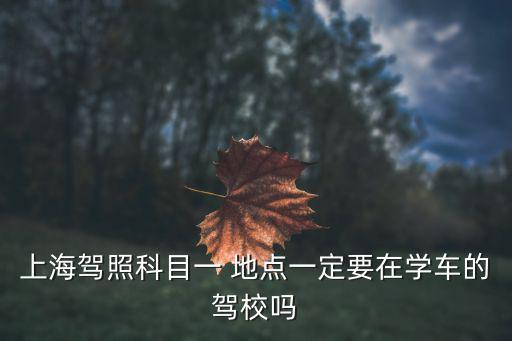 上海駕照科目一 地點一定要在學車的駕校嗎