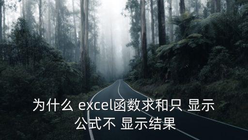 為什么 excel函數求和只 顯示 公式不 顯示結果