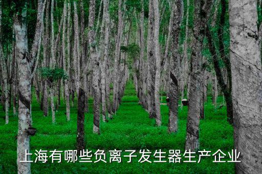 上海有哪些負離子發生器生產企業