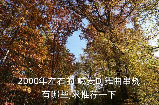 dj現場喊麥,dj-串燒-鳳舞九天現場64分鐘不需要mix