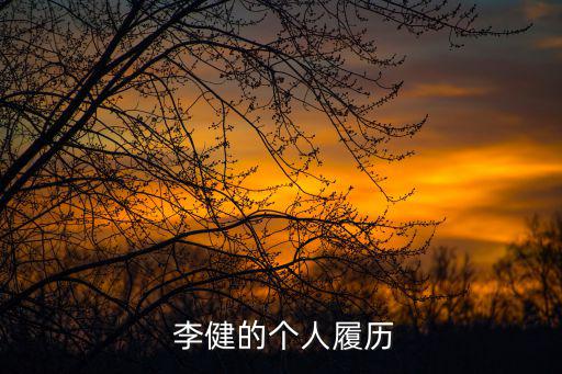  李健的個人履歷