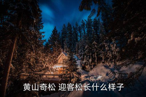 黃山迎客松簡介,黃山迎客松樹是黃山景點(diǎn)嗎?