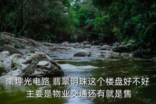 南坪光電路 翡翠明珠這個樓盤好不好 主要是物業交通還有就是售