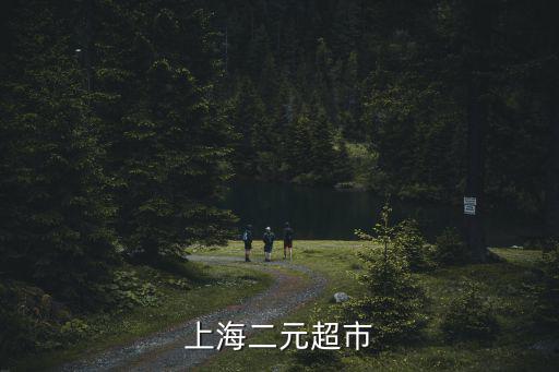 上海市超市業(yè)態(tài)報(bào)告，上海二元超市
