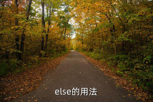 else的用法