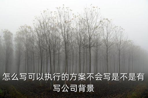 怎么寫可以執行的方案不會寫是不是有寫公司背景