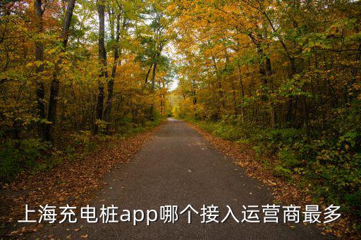 上海充電樁app哪個接入運營商最多