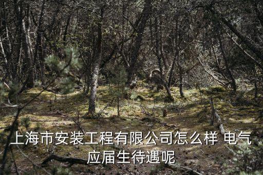 上海市安裝工程集團三分公司，上海市安裝工程有限公司
