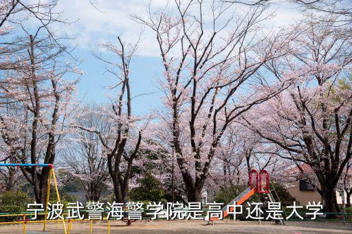 寧波武警海警學院是高中還是大學