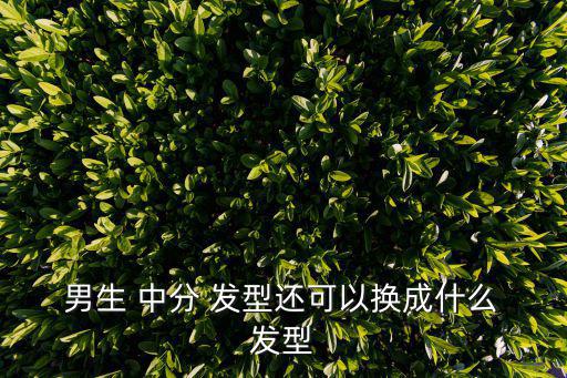  男生 中分 發型還可以換成什么 發型