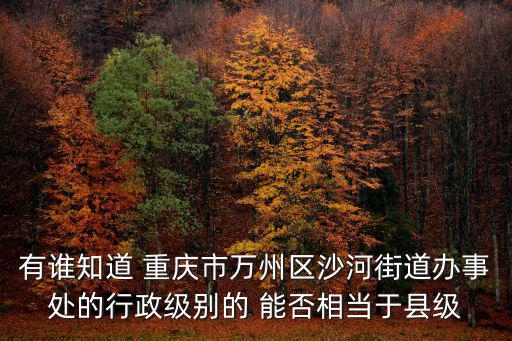 有誰(shuí)知道 重慶市萬(wàn)州區(qū)沙河街道辦事處的行政級(jí)別的 能否相當(dāng)于縣級(jí)