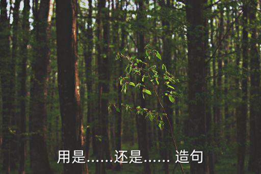 是還是怎么造句,投票日期選票結果