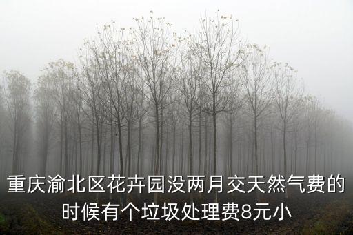 重慶渝北區花卉園沒兩月交天然氣費的時候有個垃圾處理費8元小