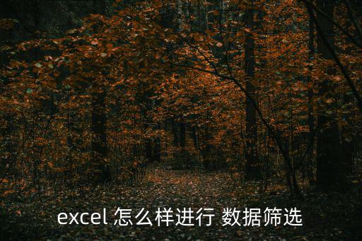 excel表格怎么篩選數(shù)據(jù)，excel 怎么樣進(jìn)行 數(shù)據(jù)篩選
