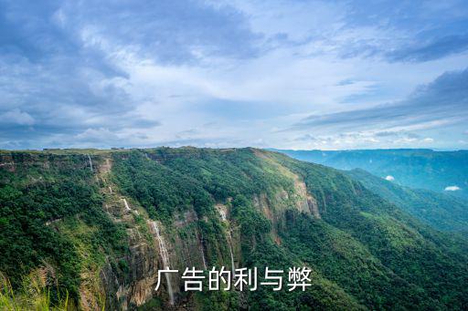 廣告的利與弊
