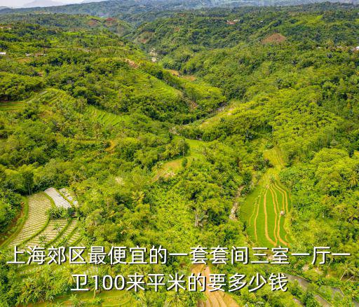 上海郊區最便宜的一套套間三室一廳一衛100來平米的要多少錢