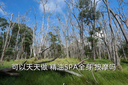 可以天天做 精油SPA全身 按摩嗎,