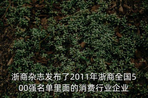 浙商雜志發(fā)布了2011年浙商全國(guó)500強(qiáng)名單里面的消費(fèi)行業(yè)企業(yè)