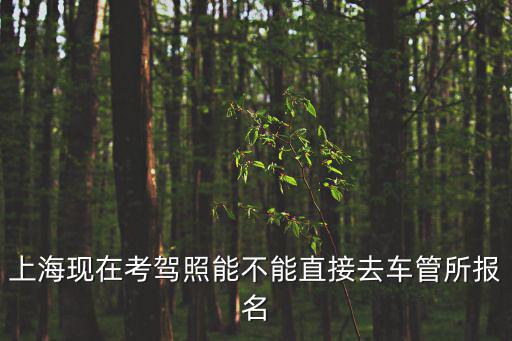 上海現在考駕照能不能直接去車管所報名