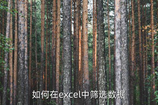 如何在excel中篩選數(shù)據(jù)