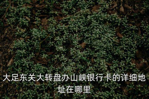 大足東關大轉盤辦山峽銀行卡的詳細地址在哪里
