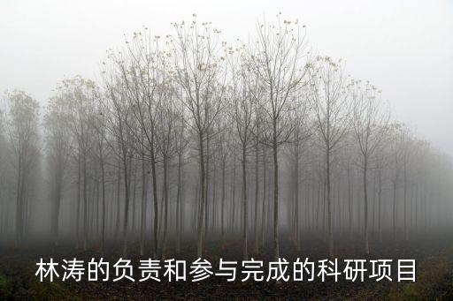 林濤的負責和參與完成的科研項目