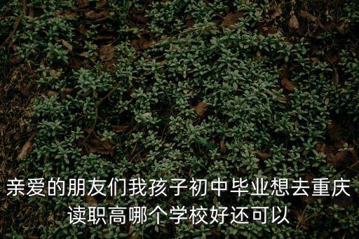 重慶市可以考大學的職高，親愛的朋友們我孩子初中畢業想去重慶讀職高哪個學校好還可以