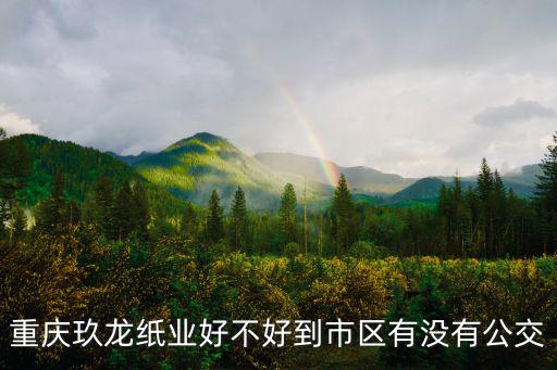 重慶玖龍紙業好不好到市區有沒有公交