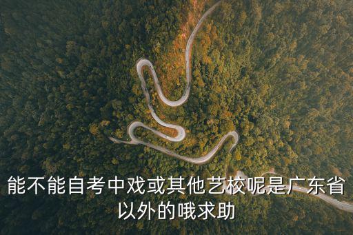 中戲 舞蹈 汪 楠 廣州，能不能自考中戲或其他藝校呢是廣東省以外的哦求助