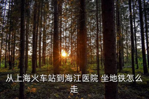 上海市海江醫院地址在哪里，上海海江醫院的來院路線