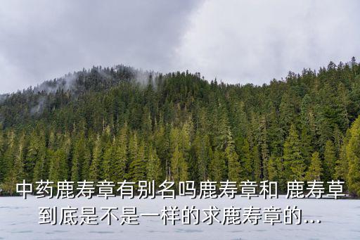 鹿壽草,鹿蹄草屬植物名稱:鹿心草、鹿壽草等