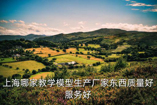 上海哪家教學模型生產廠家東西質量好服務好