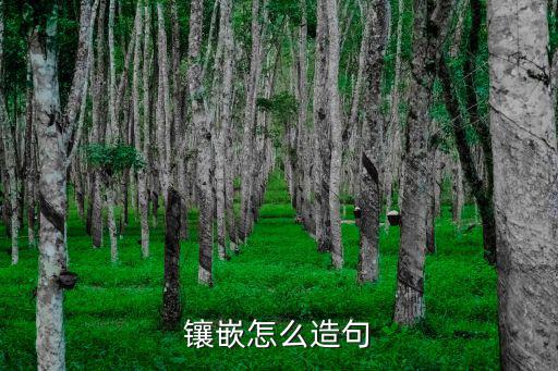 鑲嵌怎么造句
