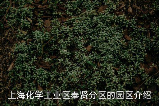 上海市奉賢區化工工業園區，奉賢化工區污染范圍