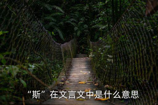 斯的意思是什么,我和你一樣希望被尊重
