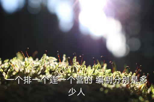 部隊人員編制人數,中國軍隊編制33型編制一個班12人左右