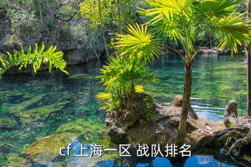 cf 上海一區(qū) 戰(zhàn)隊(duì)排名