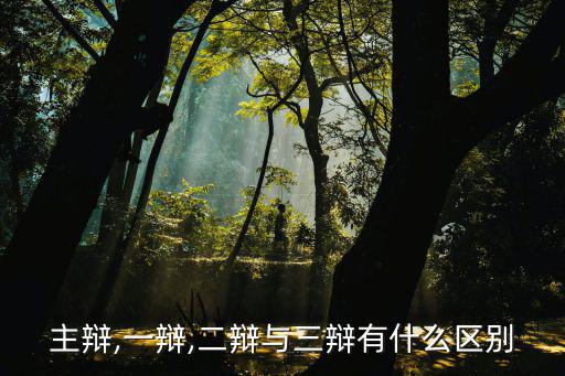辯論賽一辯,關(guān)于辯論的五個重要點