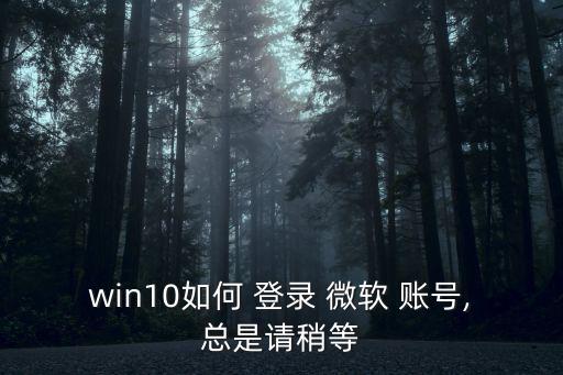 win10如何 登錄 微軟 賬號,總是請稍等