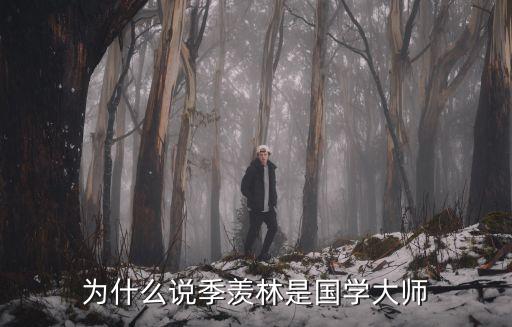 為什么說季羨林是國學(xué)大師