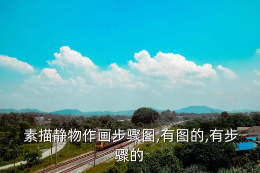  素描靜物作畫步驟圖,有圖的,有步驟的