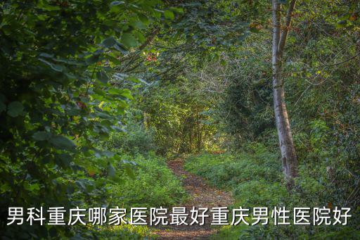 男科重慶哪家醫院最好重慶男性醫院好