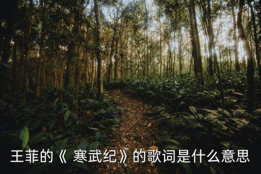 寒武紀(jì)主題曲,王菲憑借童話書(shū)見(jiàn)過(guò)、沒(méi)見(jiàn)過(guò)寫(xiě)出愛(ài)情童話