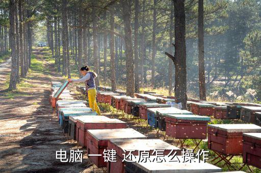 電腦 一鍵 還原怎么操作
