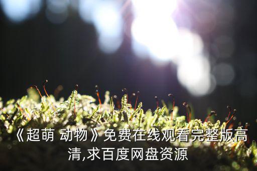 萌動物,沙灘有什么動物?這些動物在我心中永遠活下去