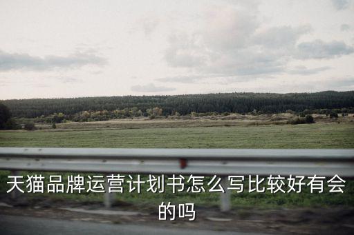 電商運營計劃，天貓品牌運營計劃書怎么寫比較好有會的嗎