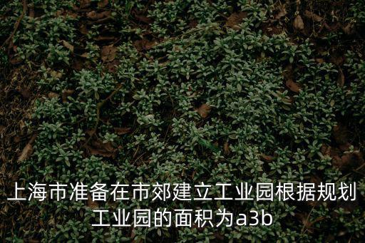 上海市準(zhǔn)備在市郊建立工業(yè)園根據(jù)規(guī)劃工業(yè)園的面積為a3b